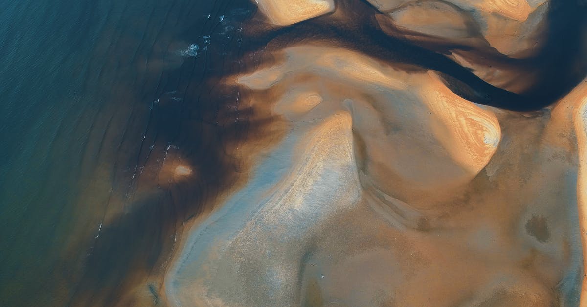 découvrez l'art contemporain sous toutes ses formes : des œuvres audacieuses, des artistes émergents et des tendances qui redéfinissent notre perception de l'art. explorez les nouvelles expressions créatives qui repoussent les limites et enrichissent le paysage artistique actuel.