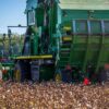 découvrez le monde passionnant de l'agritech, où la technologie et l'agriculture se rencontrent pour optimiser les récoltes, améliorer la durabilité et révolutionner la production alimentaire. explorez les innovations qui transforment le secteur agricole et favorisent une agriculture plus intelligente et respectueuse de l'environnement.