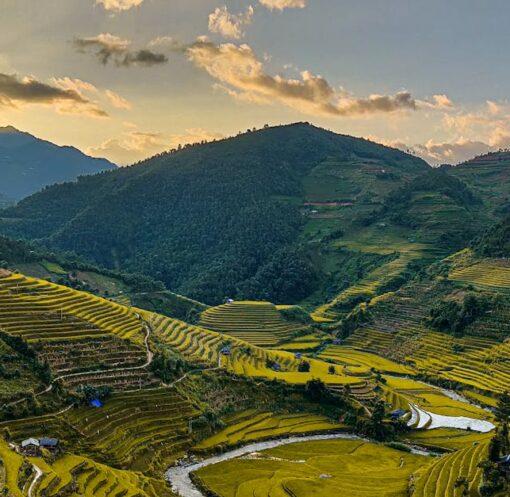 découvrez l'agroécologie, une approche durable de l'agriculture qui allie respect de l'environnement, biodiversité et production alimentaire. explorez ses techniques innovantes et ses bénéfices pour la planète et les communautés.