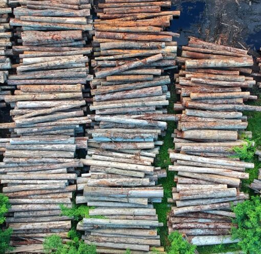 découvrez les enjeux de la déforestation, ses conséquences sur l'environnement et la biodiversité, ainsi que les solutions pour préserver nos forêts vitales pour la planète.