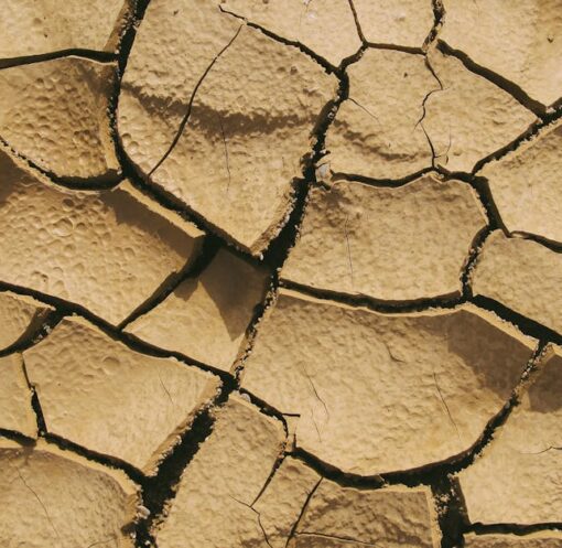 découvrez les enjeux de la sécheresse, ses causes et conséquences sur l'environnement et l'agriculture. explorez des solutions durables pour lutter contre ce phénomène croissant.