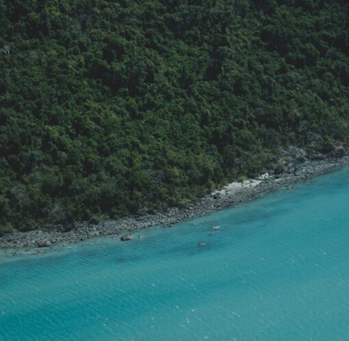 découvrez l'éco-tourisme, une manière responsable d'explorer la nature tout en préservant l'environnement. apprenez à voyager de manière durable, à soutenir les communautés locales et à vivre des expériences authentiques en harmonie avec la faune et la flore.