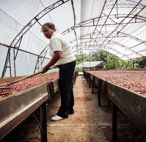 découvrez l'agriculture durable, un modèle innovant qui allie respect de l'environnement, économie et bien-être social. apprenez comment cette approche maximise la productivité tout en préservant les ressources naturelles pour les générations futures.