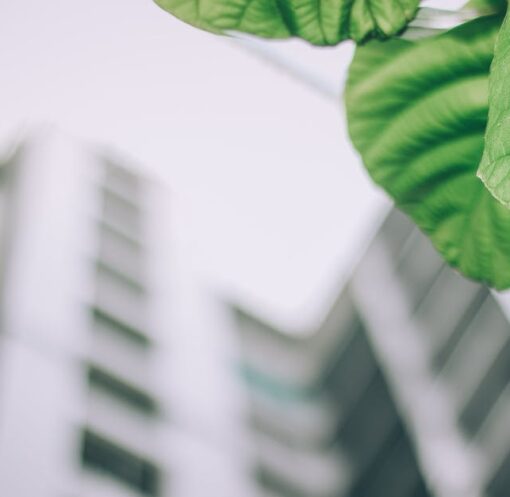 découvrez les enjeux et les impacts de l'urbanisation sur nos sociétés modernes. explorez comment la croissance des villes transforme notre environnement, notre mode de vie et les défis qu'elle pose en matière de durabilité et de mobilité.